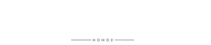 logo light